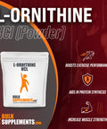 BulkSupplements L-Ornithine Powder - Amino Supplement for Protein Synthesis - - 1g (1000mg) , 250 Servings (250 Grams - 8.8 oz)
