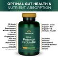 Swanson Ultra Potency Probiotic Digestive Health Immune System 66 Billion CFU Prebiotic NutraFlora scFOS 60 DRcaps Veggie Capsules