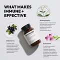 BigVita Immune Support Booster Supplement with Elderberry Echinacea Vitamin C Andrographis Zinc Magnesium Oxide and Selenium Immune Defense Dietary Supplements, 60 Capsules