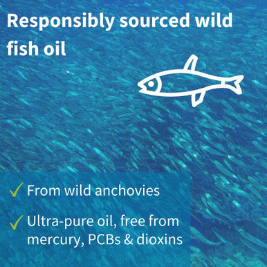 Vegepa Omega 3 Wild Fish Oil & Evening Primrose Oil Blend, 560 mg EPA Plus GLA, 60 Small Softgels