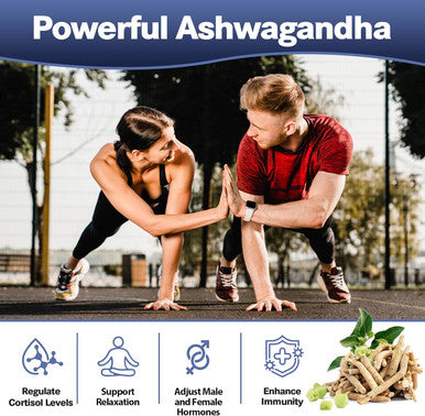 Totaria 25 In 1 Sea Moss Black Seed Oil Ashwagandha Ginger Shilajit Supplement 18525Mg Sea Moss Capsules With Bladder Burdock Ceylon Cinnamon Berberine Acv Manuka Vit C and D3 For Immune Gut and Energy 120 Capsules