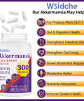 300 Billion Afu Akkermansia Probiotic Glp-1 Supplement For Women & Men, Akkermansia Muciniphila For Glp-1, Digestive, Gut, Immune, Enhances Gut Digestive Lining Function, Akka Superbiotics - 60 Caps
