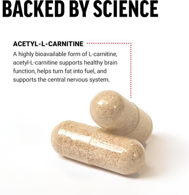 Force Factor Acetyl L-Carnitine Brain Supplement Nerve Support Supplement and Cellular Energy Booster Acetyl L-Carnitine 500mg Premium Quality Vegan Non-GMO 100 Vegetable Capsules