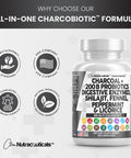 Clean Nutra Activated Charcoal Capsules 1000Mg Shilajit 5000Mg Pills Probiotic 200 Billion + Digestive Enzymes For Digestive Heal