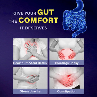 Akkermansia Probiotic For Gut Health Support With Berberine And Soluble Beta-Glucan Prebiotic Fiber Glp-1 Probiotic, 3 Billion Afu, 60 Delayed Release Capsules