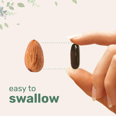 Micro Ingredients Sunflower Lecithin 1600mg Per Serving 300 Softgels | Sustainably Farmed Source Cold Pressed Rich in Phosphatidyl Choline | Lactation Supplement | Soy Non-GMO