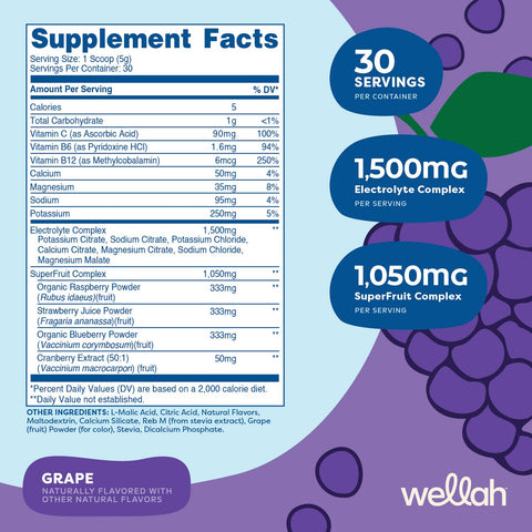 Wellah Splish Splash Hydration Electrolyte Drink Mix (Grape Flavored 30 Servings)