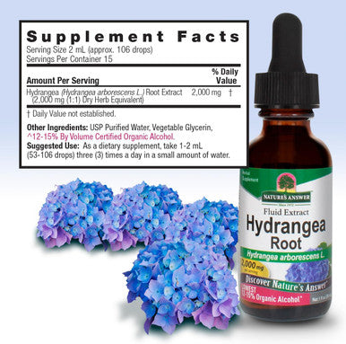 Nature'S Answer Hydrangea Root Extract Supplement with Organic Alcohol 1-Fluid Ounce | Promotes Kidney Health | Urinary Tract Support