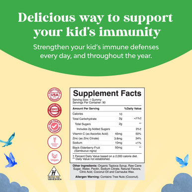 Natures Craft Sambucus Elderberry Gummies for Kids Health - Delicious Black Elderberry Gummies with Zinc and Vitamin C for Kids Immune Support - Gelatin and Gluten Non-GMO Kids Immunity Support 90 Gummies