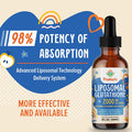 2000Mg Liposomal Glutathione Liquid, 98% Absorption, Glutathione Liquid Supplement, Active Form L- Glutathione, Powerful Antioxidant Non-Gmo For Immune System, Aging Defense, Detox, 2 Fl.Oz