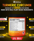 6 in 1 Turmeric Curcumin + Ginger Capsules, 95% Curcuminoids, Equivalent to 13050mg, with Ginger, Garlic Bulb, Bromelain, Moringa, Black Pepper, Joint Inflammatory & Absorption Support
