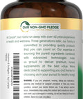 Carlyle Vitamin E 1000 IU Softgels with Mixed Tocopherols 120 Pills Naturally Sourced Supplement NonGMO and Gluten Free Formula