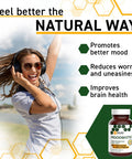 MoodBiotic Probiotics for Women & Men - Probiotic Lactobacilli Supplement w/ 6 Billion CFU for Better Mood, Stress Management, Improved Cognition & Gut Health (30ct) - w/ Cerebiome