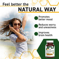 MoodBiotic Probiotics for Women & Men - Probiotic Lactobacilli Supplement w/ 6 Billion CFU for Better Mood, Stress Management, Improved Cognition & Gut Health (30ct) - w/ Cerebiome