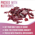 Xprs Nutra Dulse Powder (Palmaria Palmata) - Canadian Wildcrafted Nova Scotia Dulse Powder for Thyroid and Bones - Vegan Friendly Atlantic Dulse Powder (8 Ounce)