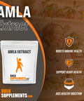 BulkSupplements Amla Extract Powder - Amla Powder - Amla Powder for Hair Growth - Amla Supplement - Indian Gooseberry Powder - Amla Extract - Powder (100 Grams - 3.5 oz)