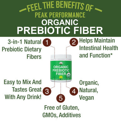 Organic Prebiotic Fiber 3 In 1 Vegan Powder For Gut Health Supplement