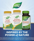 NatureS Way Calcium Magnesium and Zinc 765 Mg Per Serving 250 Capsules
