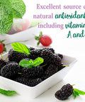 Garden of Life Perfect Food Berry Super Green Fruit & Veggie Formula - 30 Servings 49 Superfoods Greens Sprouts Fruits Veggies Probiotics Spirulina Vegetarian Juice Superfood Powder Supplement