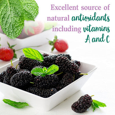 Garden of Life Perfect Food Berry Super Green Fruit & Veggie Formula - 30 Servings 49 Superfoods Greens Sprouts Fruits Veggies Probiotics Spirulina Vegetarian Juice Superfood Powder Supplement