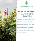 Holistic Bin AlphaSize GPC Powder | Bioavailable Choline Supplement | Alpha GPC Powder | Brain Support Supplement for Memory, Focus, & Physical Endurance Support