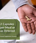 Standard Process Emphaplex - Whole Food Lungs Supplement - Lung Support Supplement, Respiratory Support, And Nervous System