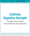 Natural Factors Ultimate Probiotic Seniors Digestive and Immune Support 35 Billion CFU 30 Capsules