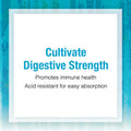 Natural Factors Ultimate Probiotic Seniors Digestive and Immune Support 35 Billion CFU 30 Capsules