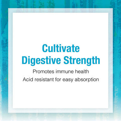 Natural Factors Ultimate Probiotic Seniors Digestive and Immune Support 35 Billion CFU 30 Capsules