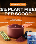 Vimergy USDA Organic Wild Blueberry Supplement Powder 62 Servings Natural Wild Blueberries Fruit Powder for Smoothies Juices Fruit Bowls Low Bush Non GMO Gluten Free Vegan Paleo (250g)