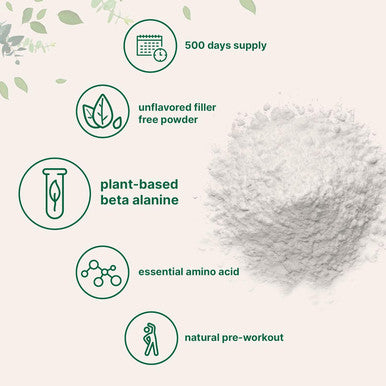 Micro Ingredients Beta Alanine Powder Pure Beta Alanine Supplement 2.2 Pounds (500 Days Supply) Filler Amino Energy Pre Workout Unflavored Non-GMO and Vegan Friendly