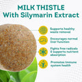 Purepremium Milk Thistle Supplement With Silymarin - 450Mg Complex Normal Liver Support Supplement - Milk Thistle Extract For Normal Liver Function - Vegan Silymarin Milk Thistle - 120 Tablets