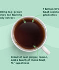 Four Sigmatic Happy Gut Organic Herbal Tea | Organic Lemon Ginger Tea With Probiotics & Turkey Tail Mushroom | Instant Digestive Tea | Vegan Gluten- | Lemon Ginger 24 Servings