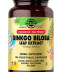 Solgar Ginkgo Biloba Leaf Extract 180 Vegetable Capsules - Brain Health & Mental Alertness - Standardized Full Potency (Sfp) - Non-Gmo Vegan Gluten Free Dairy Free Kosher Halal - 180 Servings