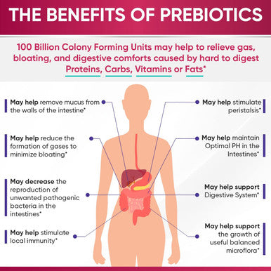 Dr. Formulated Raw Probiotics for Women 100 Billion CFUs with Prebiotics, Digestive Enzymes, Approved Women's Probiotic for Adults Shelf Stable Probiotic Supplement Capsules