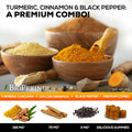 Nature'S Nutrition Turmeric Curcumin Gummies 95% Curcuminoids with Cinnamon Ginger & Black Pepper Extract for Max Absorption Joint Support Supplement Nature's Herbal Turmeric Gummy Pills Vegan Non-GMO - 60 Gummies