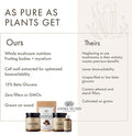 Anima Mundi Chaga Mushroom Powder - Organic Chaga Mushroom Powder - Immune System Support Supplement with Organic Chaga Extract Powder - Great for Tea, Coffee and More - Anima Mundi Supplements (5oz)