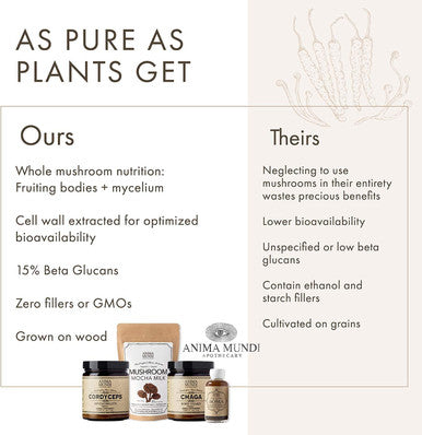 Anima Mundi Chaga Mushroom Powder - Organic Chaga Mushroom Powder - Immune System Support Supplement with Organic Chaga Extract Powder - Great for Tea, Coffee and More - Anima Mundi Supplements (5oz)