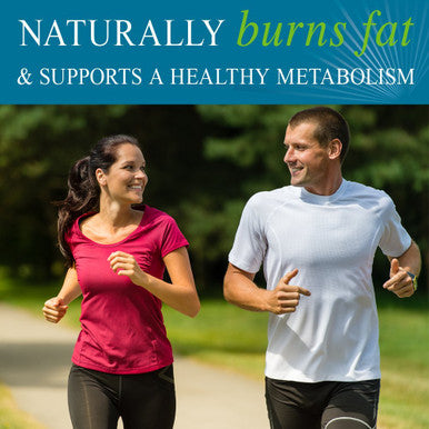 Garden of Life Fucoxanthin Supplements - Fucothin Diet Pill For Weight Loss 90 Softgels