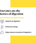 Enzymedica Digest Basic Digestive Enzymes, 180 Capsules