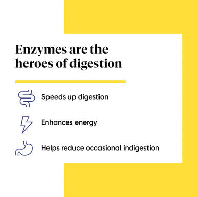 Enzymedica Digest Basic Digestive Enzymes, 180 Capsules