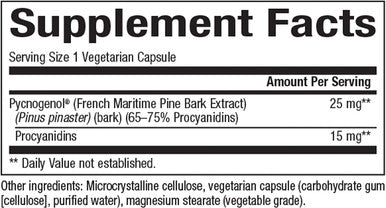 Natural Factors Pycnogenol 25 mg Antioxidant Support for Healthy Aging 60 Capsules