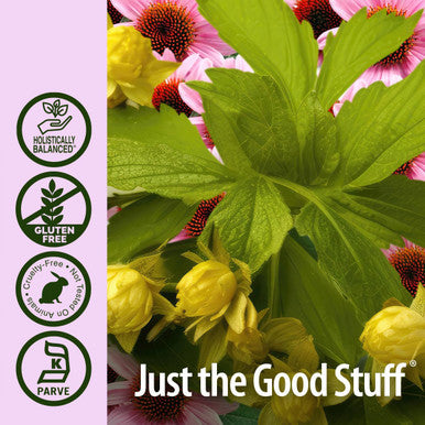 Nature'S Answer Echinacea and Goldenseal Root with Organic Alcohol 1000mg 2oz Extract | 5mg Berbine 2.5mg Hydrastine 10mg Polyphenols Per Serving | Supports Immune System | Single Count
