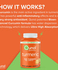 Turmeric Gummies Qunol Gummy with 500mg Turmeric Curcumin Joint Support Supplement Ultra High Absorption Tumeric Curcumin Vegan Gluten Free 2 Month Supply 60 Count Pack of 2