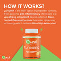 Turmeric Gummies Qunol Gummy with 500mg Turmeric Curcumin Joint Support Supplement Ultra High Absorption Tumeric Curcumin Vegan Gluten Free 2 Month Supply 60 Count Pack of 2