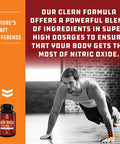 Nitric Oxide Support Pills Natural Workout Supplement and Exercise Enhancer Boost Energy Strength Recovery Muscle Builder Pure L Arginine and L Citrulline Amino Acid Capsules by Natures Craft