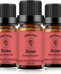 Rose Essential Oil, Aromatherapy Oils 100% Pure Gift Oils for Diffuser, Humidifier, Body Care, Massage - 3x10ML