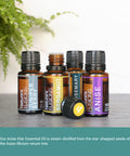 Natures Fusions Anise Essential Oil for Warming - High Potency 100% Pure 15ml