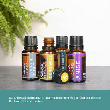 Natures Fusions Anise Essential Oil for Warming - High Potency 100% Pure 15ml