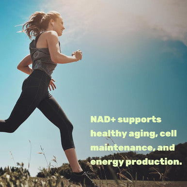 Nad+ Supplement 1,000Mg Per Serving, 120 Veggie Capsules ÃƒÂ¢Ã¢â€šÂ¬Ã¢â‚¬Å“ Extra Strength Nad Booster ÃƒÂ¢Ã¢â€šÂ¬Ã¢â‚¬Å“ Healthy Aging, Energy, & Brain Support ÃƒÂ¢Ã¢â€šÂ¬Ã¢â‚¬Å“ Similar To Nicotinamide Riboside ÃƒÂ¢Ã¢â€šÂ¬Ã¢â‚¬Å“ Non-Gmo